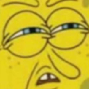 Meet your Posher, Leo